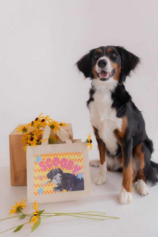 Dog sitting next to a tote bag with 'Scooby' design on a white background